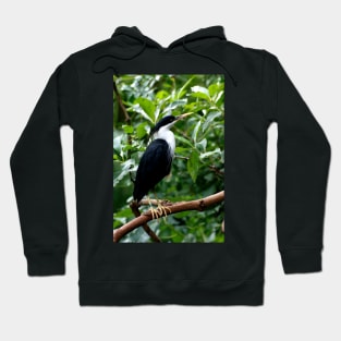 Pied Heron Hoodie